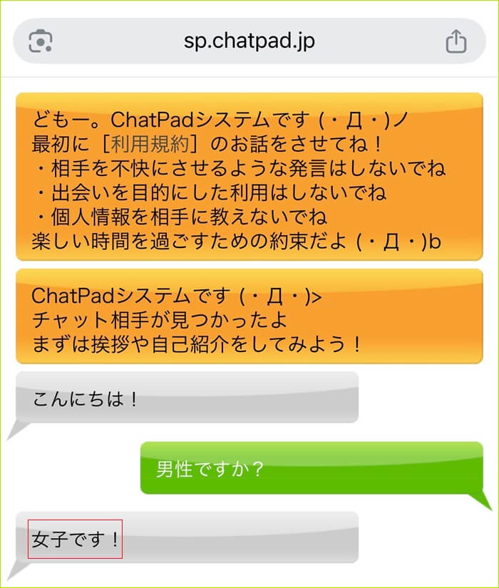 チャットパッドで女性とマッチングした証拠