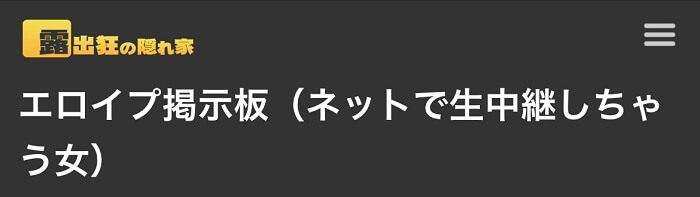 エロイプ掲示板【ネットで生中継しちゃう女】