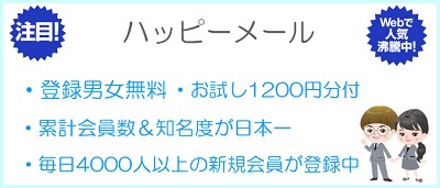 ハッピーメールに対する総評を表した画像