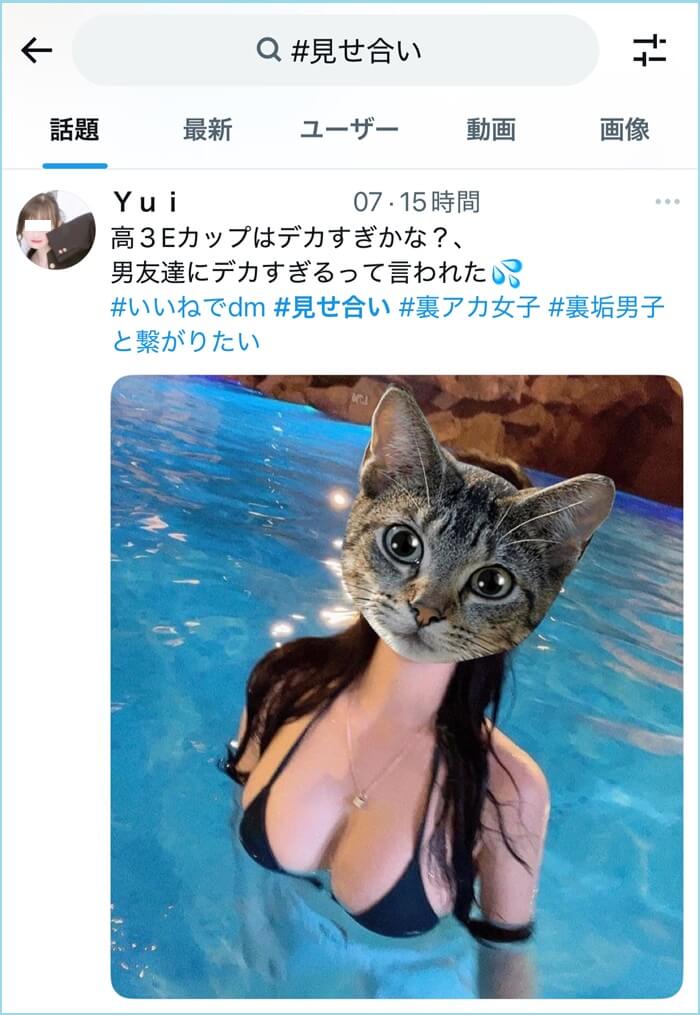 Xで見せ合い募集している未成年がいる証拠