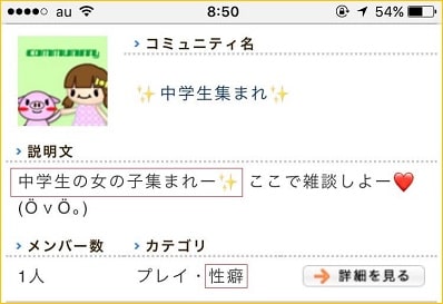 ぽっちゃりSNSの危険なコミュニティ