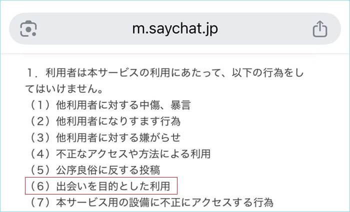 セイチャットの利用規約に「出会い禁止」と明記されている証拠