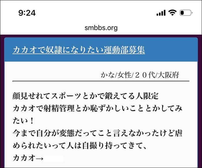 SM掲示板で募集していた業者