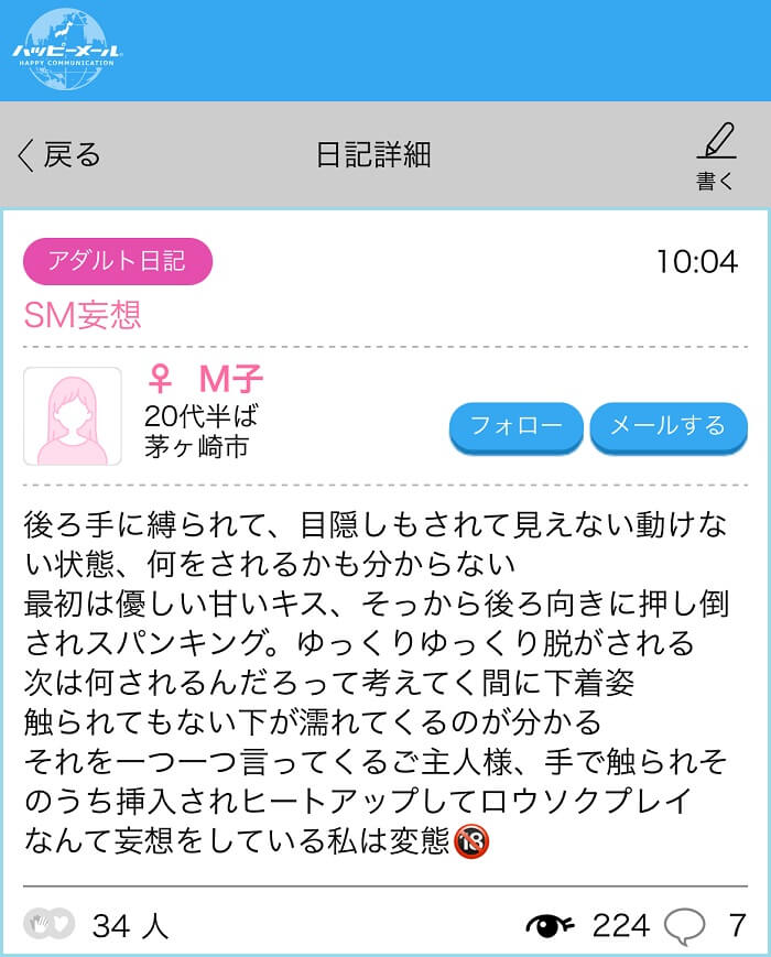 アダルト日記のSMプレイに関する投稿