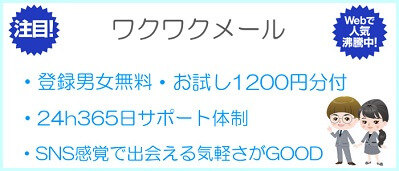 ワクワクメールに対する総評